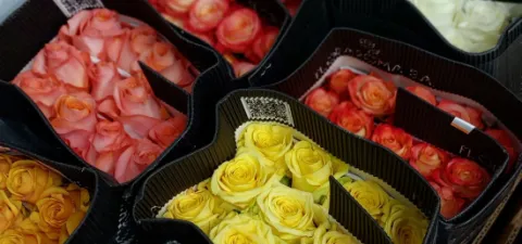 10 цветов, которые долго стоят в воде