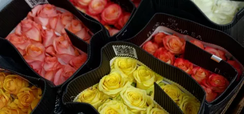 10 цветов, которые долго стоят в воде