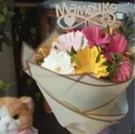 отзыв Юлия (СПб)