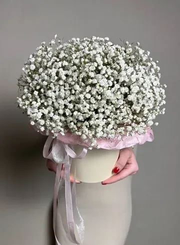 Белая гипсофила в коробе &laquo;Зефирка&raquo; от интернет-магазина цветов в Ижевске