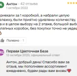 отзыв Антон