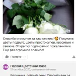 отзыв Вероника