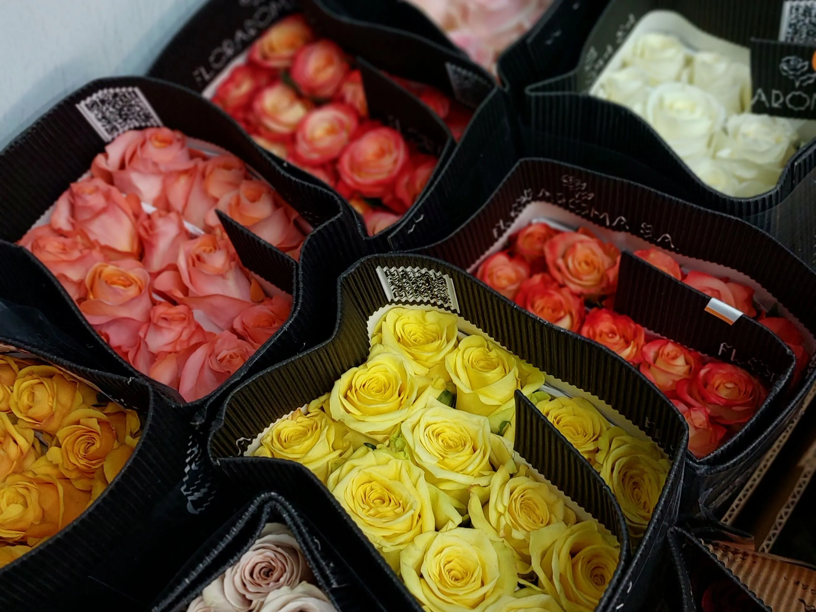 10 цветов, которые долго стоят в воде