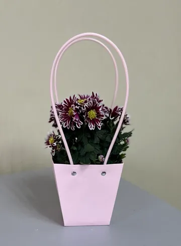 Хризантема в сумке в ассортименте от интернет-магазина цветов в Ижевске