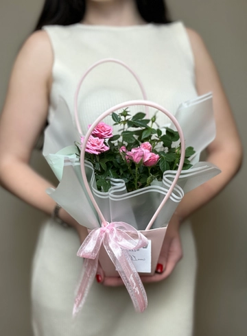 Роза в сумочке микс от интернет-магазина цветов в Ижевске