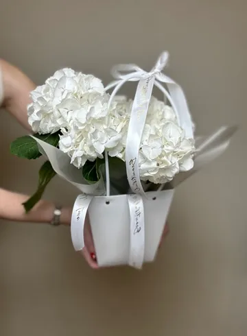 Гортензия в сумочке в ассортименте  от интернет-магазина цветов в Ижевске