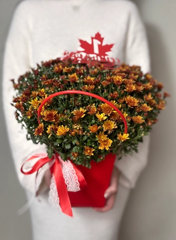 Хризантема мультифлора в сумочке с топпером от интернет-магазина цветов в Ижевске