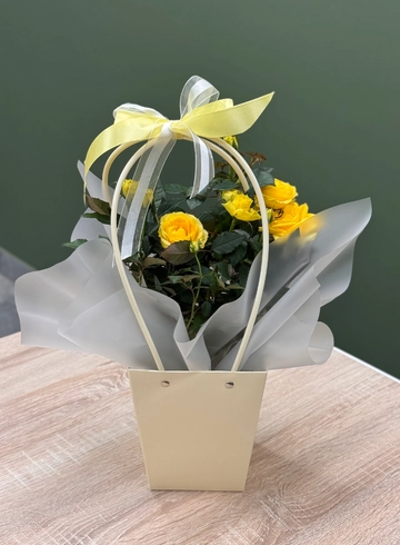 Роза Кордана в стильном оформлении  от интернет-магазина цветов в Ижевске