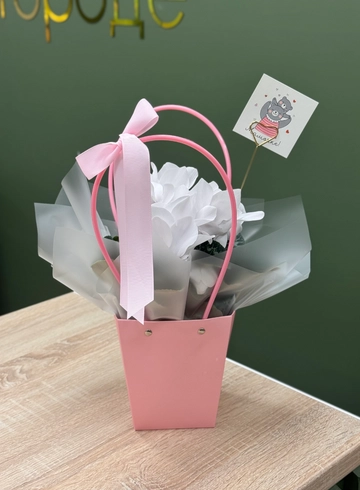 Цикламен белый в сумочке  от интернет-магазина цветов в Ижевске