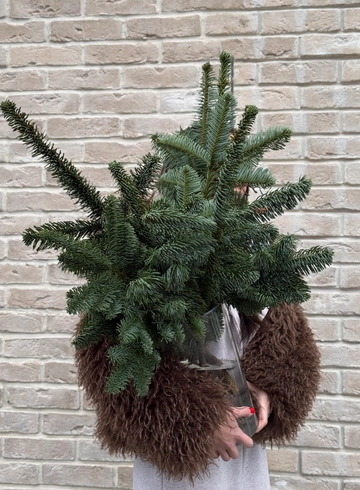 3 ветки нобилиса от интернет-магазина цветов в Ижевске