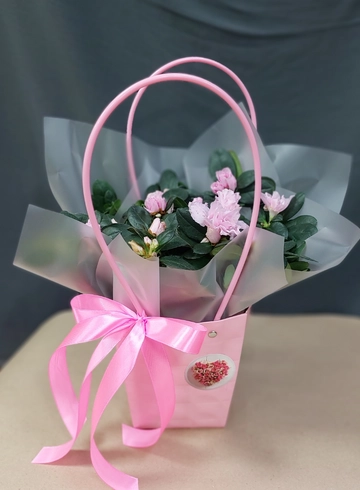 Азалия в сумочке  от интернет-магазина цветов в Ижевске