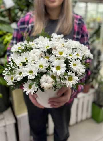 Хризантема кустовая в шляпной коробке  от интернет-магазина цветов в Ижевске