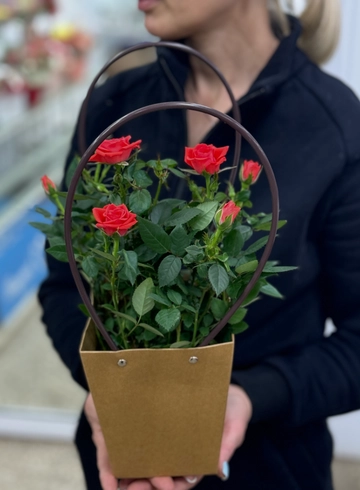 Роза Кордана в сумке от интернет-магазина цветов в Ижевске