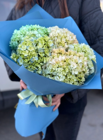 Монобукет 5 гортензий от интернет-магазина цветов в Ижевске