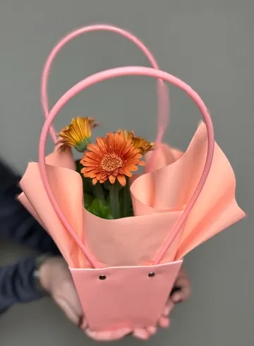 Гербера в сумочке от интернет-магазина цветов в Ижевске